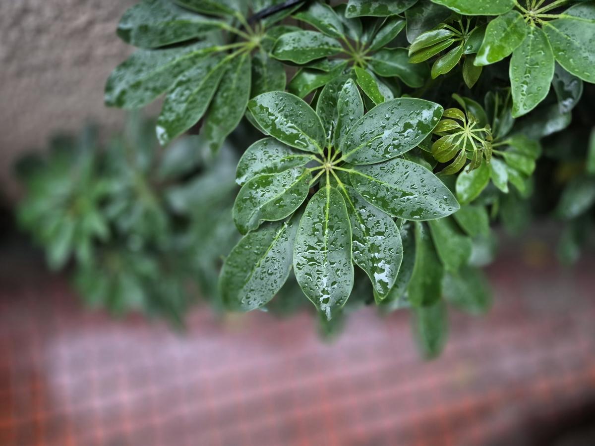 Shot on Galaxy S25 FE