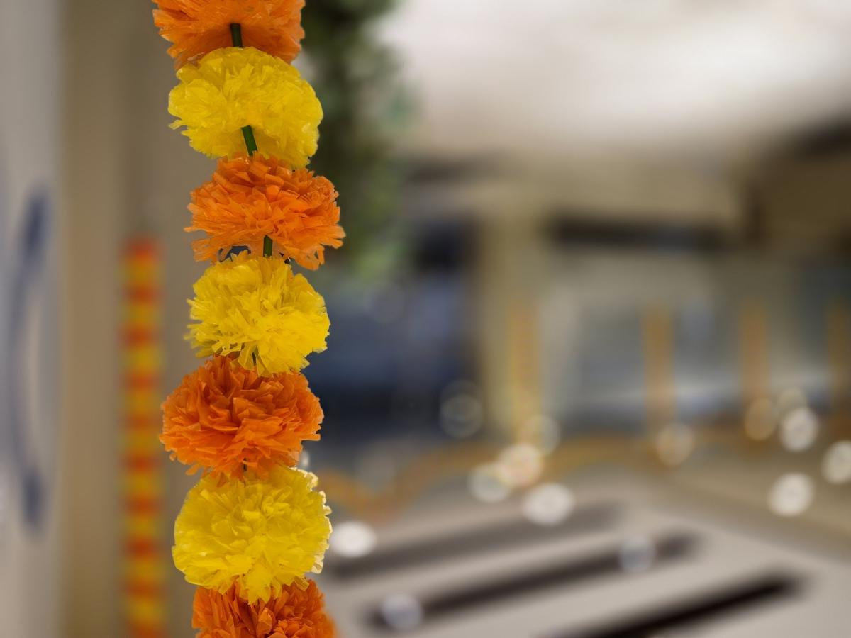 Shot on Galaxy S25 FE