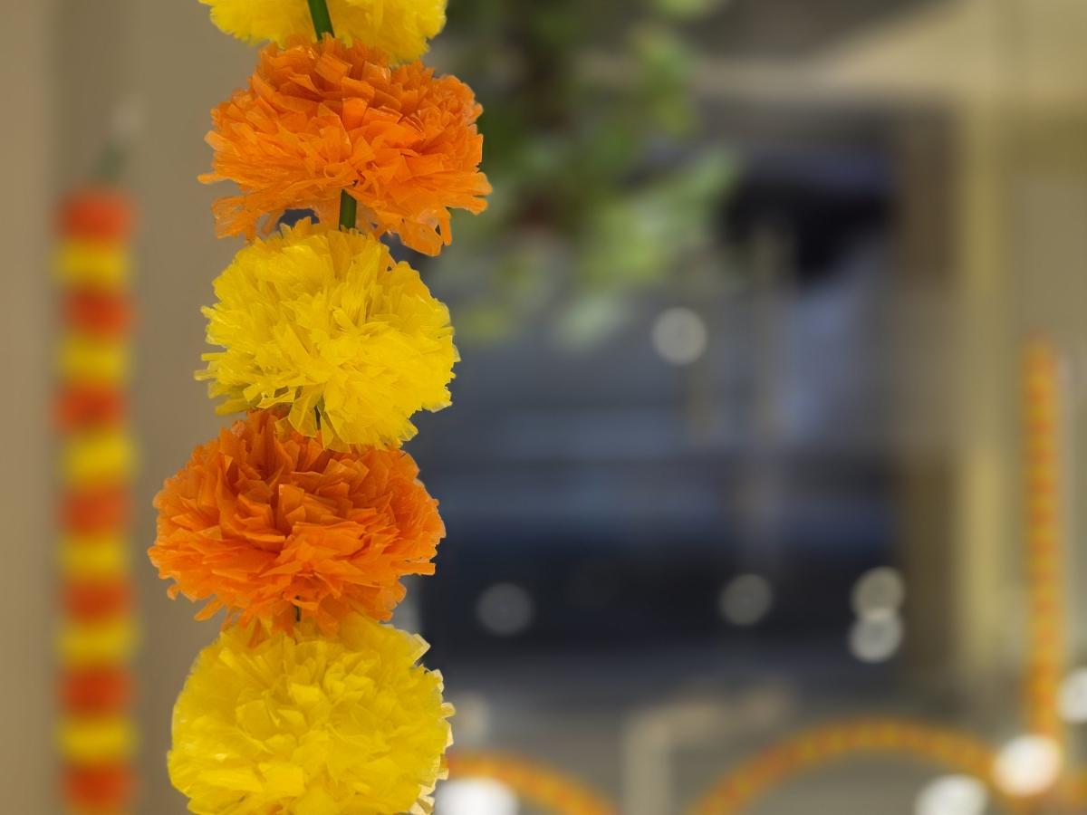 Shot on Galaxy S25 FE