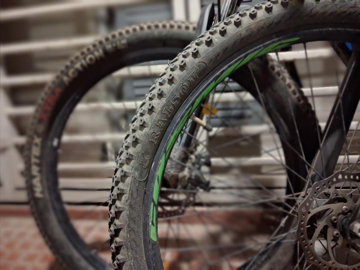 Shot on Samsung Galaxy A17 5G: Portrait Shot on Samsung Galaxy A17 5G