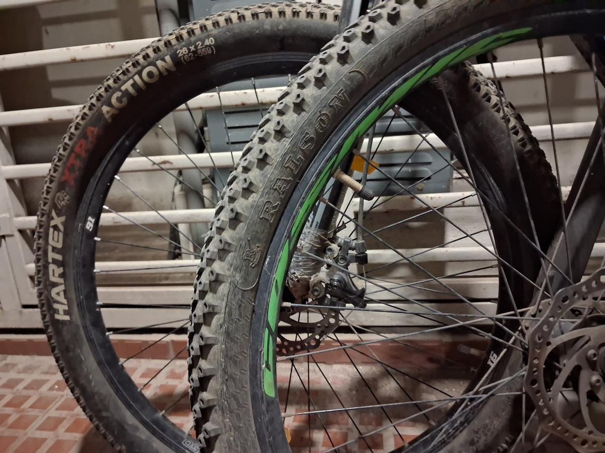 Shot on Samsung Galaxy A17 5G Shot on Samsung Galaxy A17 5G