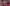 Navratri 2025: Sneak Peek into Ambani family's grand garba celebration; Dilip Joshi aka Jethalal wows fans with iconic dance move at separate dandiya event