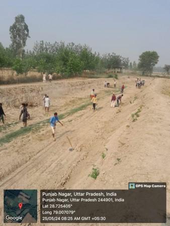 Reviving rivers, restoring hope: How Art of Living's water projects are transforming rural UP Reviving rivers, restoring hope: How Art of Living's water projects are transforming rural UP