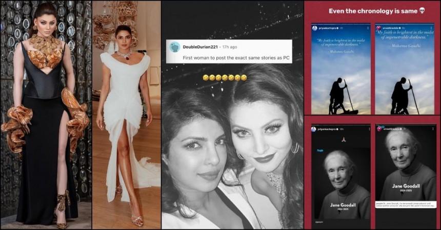 Urvashi Rautela reshares Priyanka Chopra's Instagram Stories word-for-word; netizens ask, 'Is she dumb?' Urvashi Rautela reshares Priyanka Chopra's Instagram Stories word-for-word; netizens ask, 'Is she dumb?'