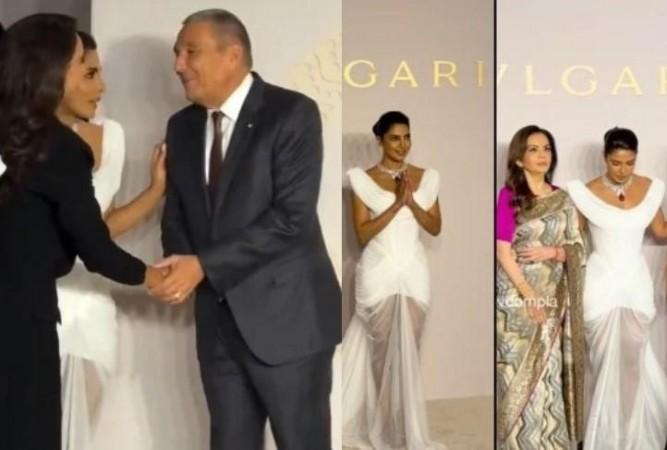 Priyanka Chopra, Tripti Dimri