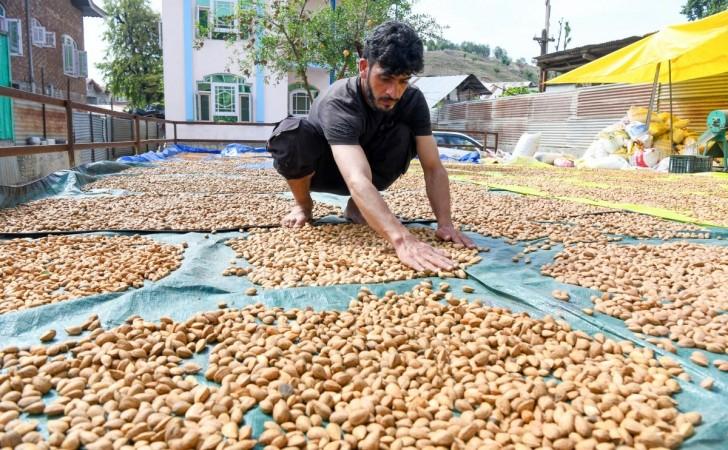 J&K economy set for lift as GST changes benefit handicrafts, tourism sectors