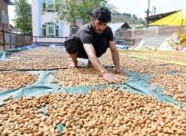J&K economy set for lift as GST changes benefit handicrafts, tourism sectors