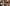Anshula's Gor Dhana Ceremony: Arjun Kapoor gets teary-eyed; Shikhar Shikhar Pahariya  lovingly holds girlfriend Janhvi Kapoor's hand during family photo