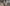 Malaika Arora avoids paps, drops sultry photos on IG as ex-husband Arbaaz Khan welcomes baby girl with second wife Sshura