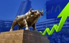 Domestic equity markets