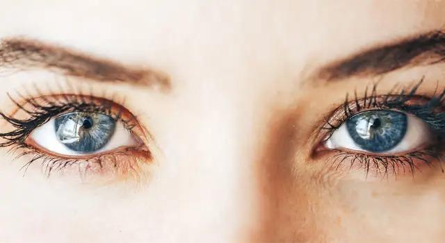 Study shows eye scans could predict ageing and heart disease risk