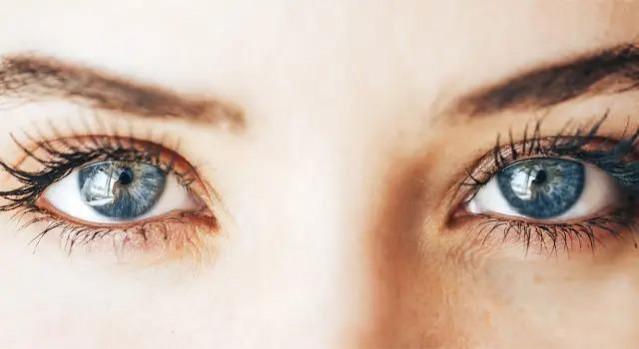 Study shows eye scans could predict ageing and heart disease risk Study shows eye scans could predict ageing and heart disease risk