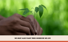 PM Modi spotlights Kutch mangrove revival in Mann Ki Baat, urges nationwide tree planting