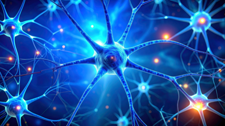 Dark chocolate, berries may help boost memory and relieve stress: Study Dark chocolate, berries may help boost memory and relieve stress: Study