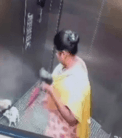 Domestic worker smashes puppy to death inside apartment lift in Bengaluru; CCTV footage sparks outrage
