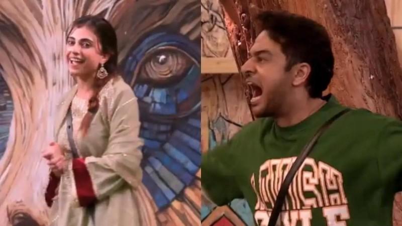 'Bigg Boss 19': Farhana Bhatt, Mridul Tiwari push each other; Gaurav Khanna shouts at Farhana, calls himself 'TV ka superstar' 'Bigg Boss 19': Farhana Bhatt, Mridul Tiwari push each other; Gaurav Khanna shouts at Farhana, calls himself 'TV ka superstar'
