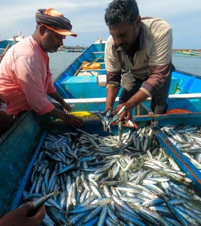 India Introduces New EEZ Regulations to Support Fisherfolk, Promote Eco-Friendly Deep-Sea Fishing India Introduces New EEZ Regulations to Support Fisherfolk, Promote Eco-Friendly Deep-Sea Fishing