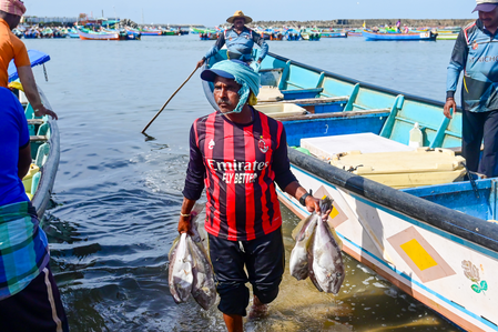 India Introduces New EEZ Regulations to Support Fisherfolk, Promote Eco-Friendly Deep-Sea Fishing