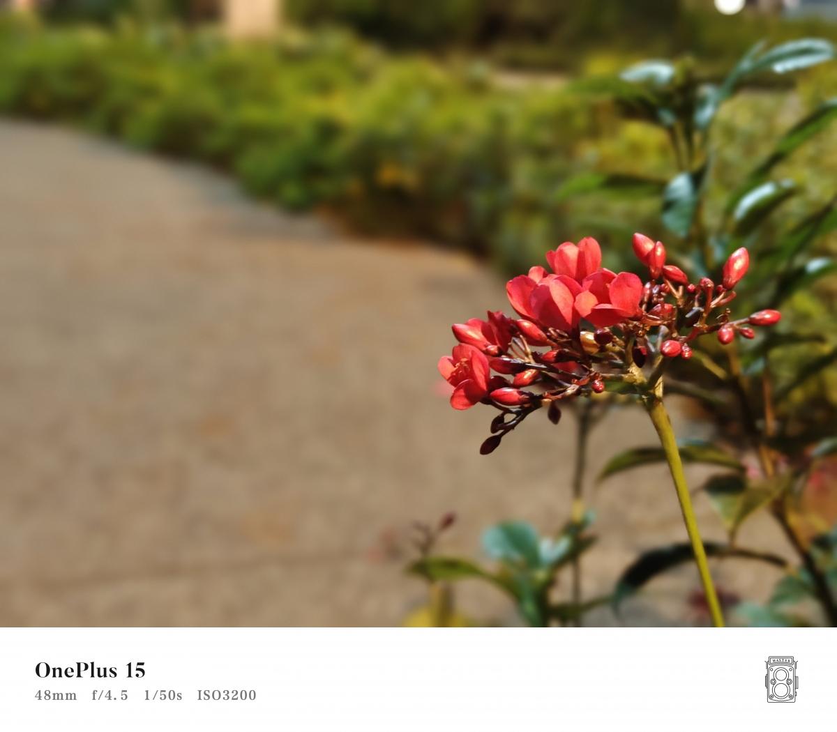 Shot on OnePlus 15 Shot on OnePlus 15