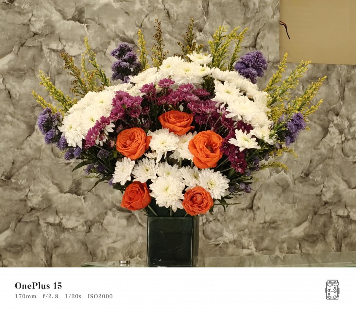 Shot on OnePlus 15 Shot on OnePlus 15