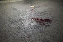 'Clear sign of war': Baloch activist blames Pakistan in wake of Delhi blast