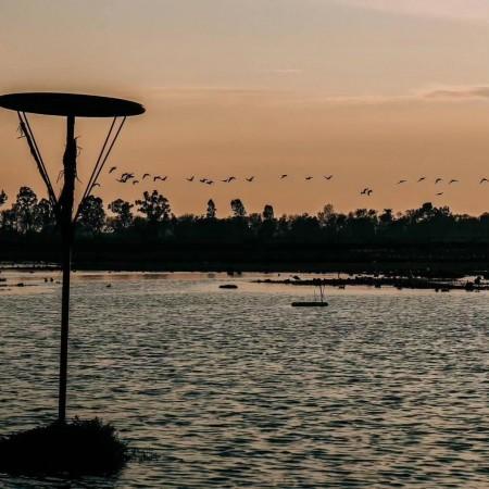Gharna Wetland
