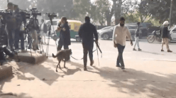 Two Delhi schools, 3 courts receive bomb threats; premises evacuated