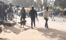 Two Delhi schools, 3 courts receive bomb threats; premises evacuated