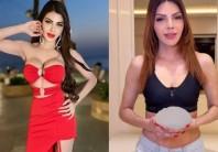 Sherlyn Chopra breast implants removed