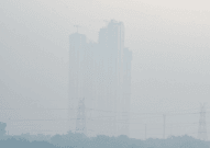 Delhi-NCR pollution stays locked in 'severe' level; Wazirpur, Greater Noida record worst AQI
