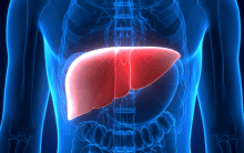 India's Medical Expertise Shines in Living Donor Liver Transplant Field