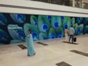 Apple to open first retail store in Noida on Dec 11; fifth outlet in India