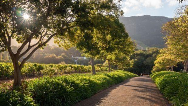 Klein Constantia – Western Cape, South Africa Klein Constantia – Western Cape, South Africa