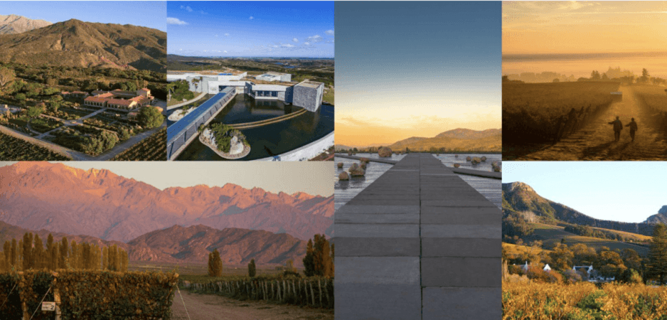 Flights of fancy: Vineyards worth every air mile this year