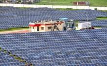 Govt says no advisory issued to pause financing of new green energy projects