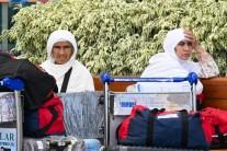 IndiGo is back on its feet, says CEO Pieter Elbers