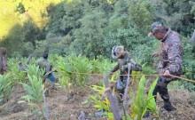 Indian Army mounts massive rescue effort after truck plunges into gorge in Arunachal Pradesh, 21 missing