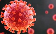 No link between Covid-19 vaccines and sudden deaths in young adults: AIIMS