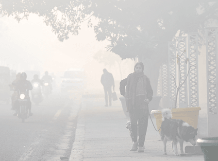 Delhi-NCR grapples with cold wave, poor air quality