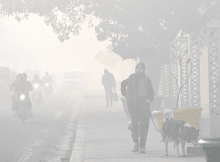 Delhi-NCR grapples with cold wave, poor air quality Delhi-NCR grapples with cold wave, poor air quality