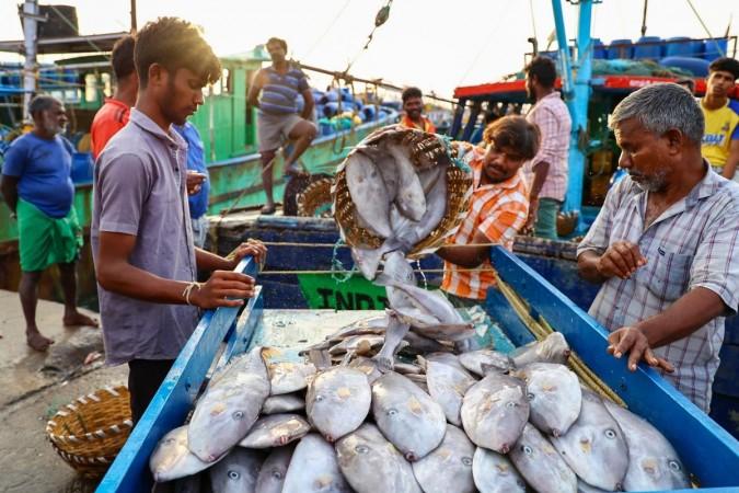 Seafood exports surge despite US tariffs due to strong resilience and adaptability: Govt