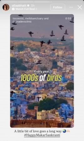 Hypocrisy: Alia Bhatt urges fans not to fly kites for bird safety on Makar Sankranti; netizens question her Gucci ambassadorship