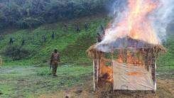 306 acres of illegal poppy cultivation destroyed in Manipur