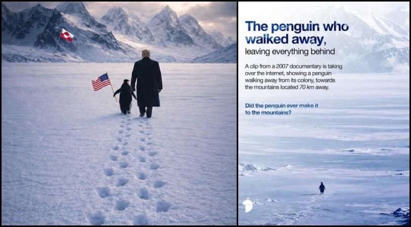 Donald Trump joins 'penguin meme' trend while holding a penguin's hand and walking toward Greenland; why the lonely penguin is trending and the psychology behind it