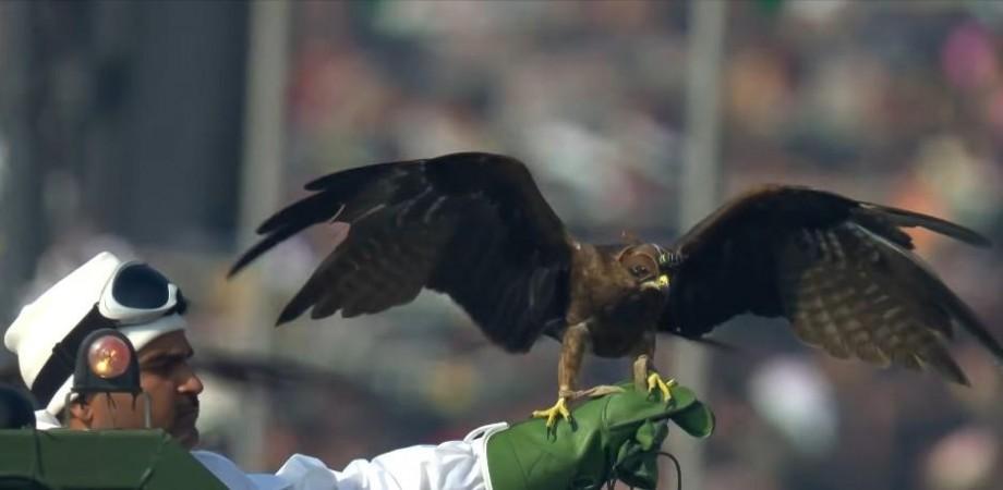 Republic Day: Indian Army showcases four-legged warriors in a historic first