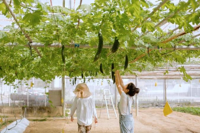 Hong Kong's Peggy Chan is the winner of the Champions of Change Award announced ahead of Asia's 50 Best Restaurants 2026