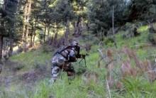 Terrorists spotted near cave in Udhampur forest in J&K, security forces move in