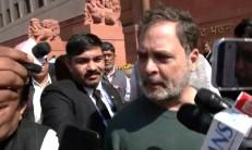 Rahul snaps at reporters, when questioned about 'privilege' motion against him