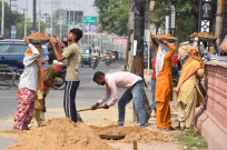 Overall workforce data shows stable pattern in January, exhibits steady trend: Govt