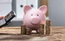 Savings Account Interest Calculator